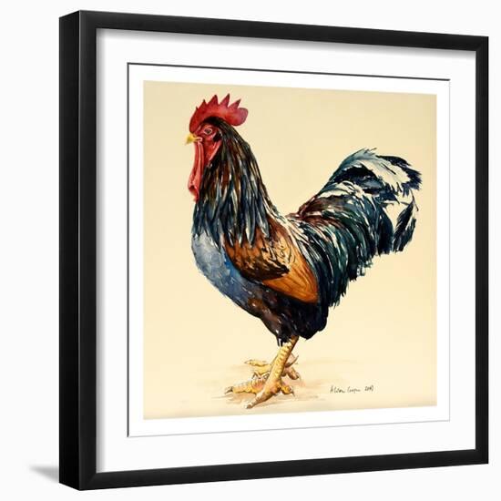 George's Cockerel, 2007-Alison Cooper-Framed Giclee Print