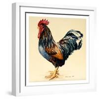 George's Cockerel, 2007-Alison Cooper-Framed Giclee Print