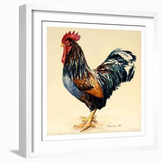 George's Cockerel, 2007-Alison Cooper-Framed Giclee Print