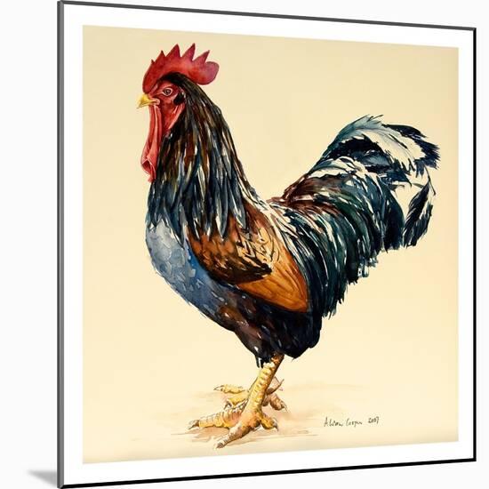 George's Cockerel, 2007-Alison Cooper-Mounted Giclee Print