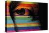 George’s Eye-Howie Green-Stretched Canvas