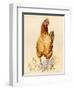 George's Hen and Her Chicks, 2007-Alison Cooper-Framed Giclee Print