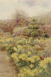 Roundscliffe, a Garden in Leicestershire, 1907-George Samuel Elgood-Giclee Print