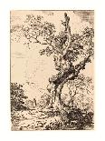 Study of an Old Oak Tree, Water on Right, a Man on Left, 1806, Pen-And-Tusche Lithograph-George Samuel-Giclee Print