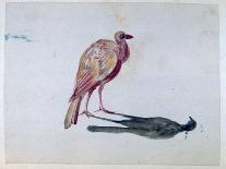 Bird, 1820-1876-George Sand-Giclee Print