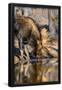 Essential Black