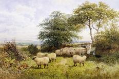 The Old Sheep Trail-George Shalders-Mounted Premium Giclee Print