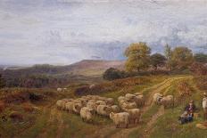 The Old Sheep Trail-George Shalders-Mounted Premium Giclee Print