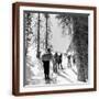 Brown Frame