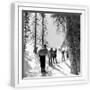 White Frame
