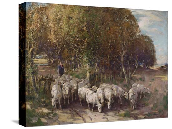 Stretched Canvas Print, , large