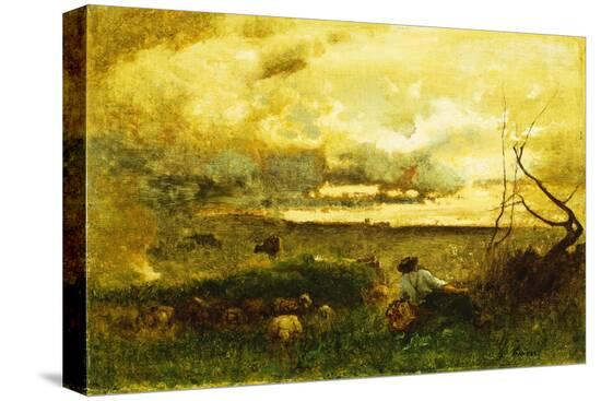 Stretched Canvas Print, , large