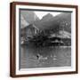 Brown Frame
