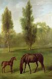 Sir John Nelthorpe, 6th Baronet out Shooting with His Dogs in Barton Field, Licolnshire, 1776-George Stubbs-Giclee Print