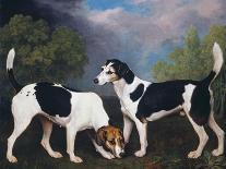 Sir John Nelthorpe, 6th Baronet out Shooting with His Dogs in Barton Field, Licolnshire, 1776-George Stubbs-Giclee Print