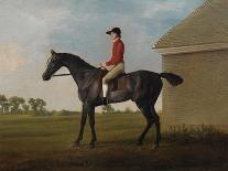 Tab. Xv, from 'The Anatomy of the Horse...', 1766 (Engraving)-George Stubbs-Framed Giclee Print