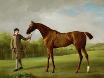 Bay Horse and White Dog-George Stubbs-Framed Art Print