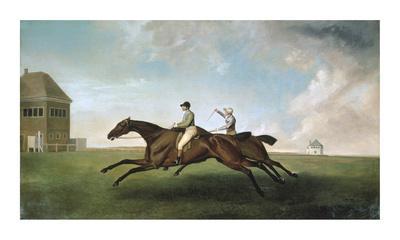 Limited Edition, , large