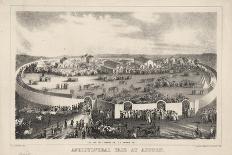 Agricultural Fair at Auburn, 1844-George T. Sanford-Giclee Print