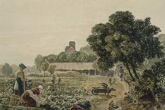 Market Garden at Chelsea-George The Younger Barret-Stretched Canvas