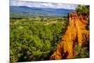 Wood Mount