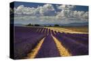 Stretched Canvas