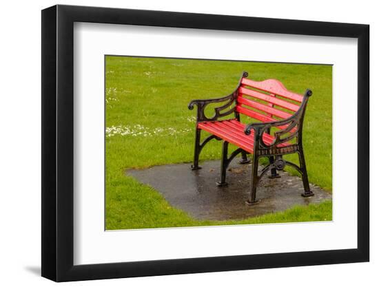 Photographic Print, , large