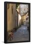 Essential Black