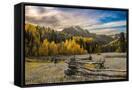 Canvas Black