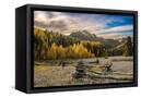 Canvas Black