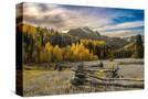 Stretched Canvas
