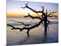 Wood Mount