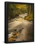 Essential Black