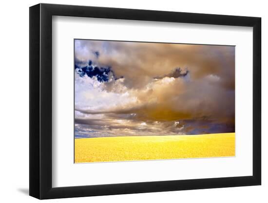 Photographic Print, , large