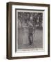 George Tubon Ii, King of Tonga-null-Framed Giclee Print