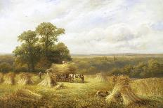 Cornfield-George Turner-Laminated Giclee Print