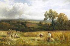 Sunshine in the Country-George Turner-Stretched Canvas