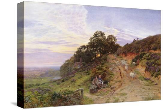 Stretched Canvas Print, , large