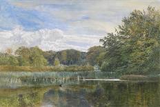 The Mill Pond, Evelyn Woods, 1860-George Vicat Cole-Giclee Print