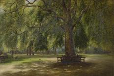 The Old Plane Tree-George Wallis-Framed Stretched Canvas