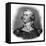 George Washington, American Revolutionary Leader and First President of the USA, 1783-Thomas Cheesman-Framed Stretched Canvas