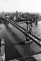 Just the Print