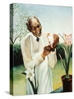 George Washington Carver-null-Stretched Canvas