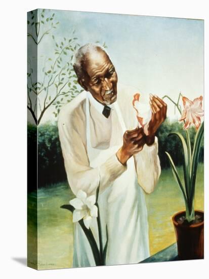 George Washington Carver-null-Stretched Canvas