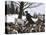 George Washington Marching the Continental Army to Valley Forge Winter Camp-null-Stretched Canvas