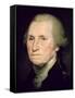 George Washington (Oil on Canvas)-Rembrandt Peale-Framed Stretched Canvas