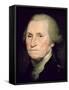 George Washington (Oil on Canvas)-Rembrandt Peale-Framed Stretched Canvas