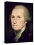 George Washington (Oil on Canvas)-Rembrandt Peale-Stretched Canvas