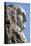 George Washington on Mount Rushmore Memorial-Gutzon Borglum-Stretched Canvas