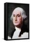 George Washington reproduced in 'The Outline of History: being a plain history of life and mankind'-Gilbert Stuart-Framed Stretched Canvas